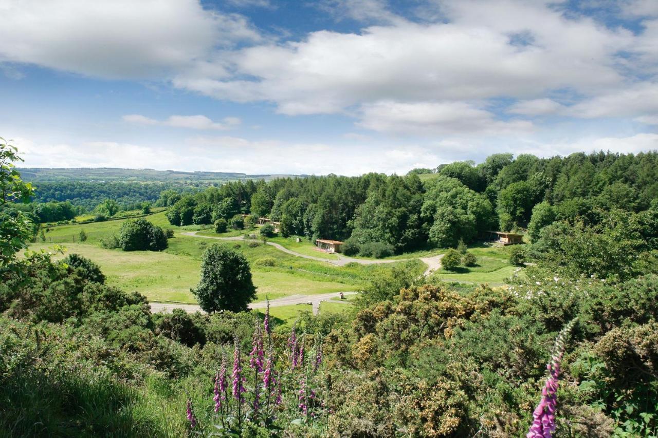 Yorkshire Dales Lodge 4 Family 3 Bed Richmond  Extérieur photo