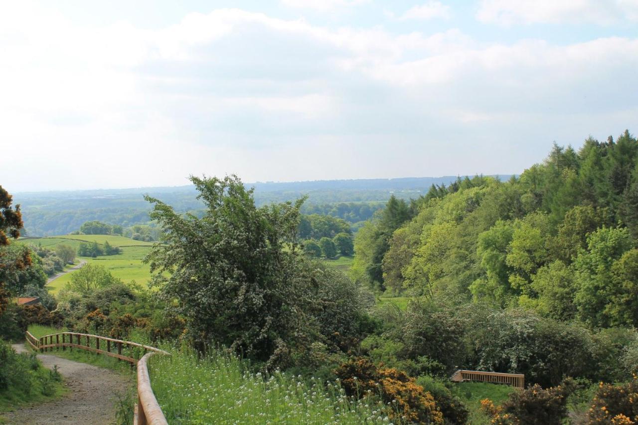 Yorkshire Dales Lodge 4 Family 3 Bed Richmond  Extérieur photo